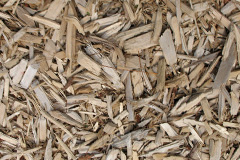 biomass boilers Balblair